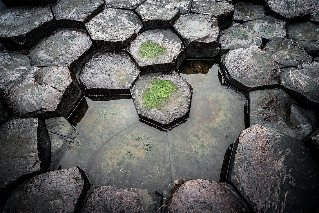 Giant's Causeway, UNESCO-Weltkulturerbe, Grafschaft Antrim, Nordirland, Vereinigtes Königreich, Europa