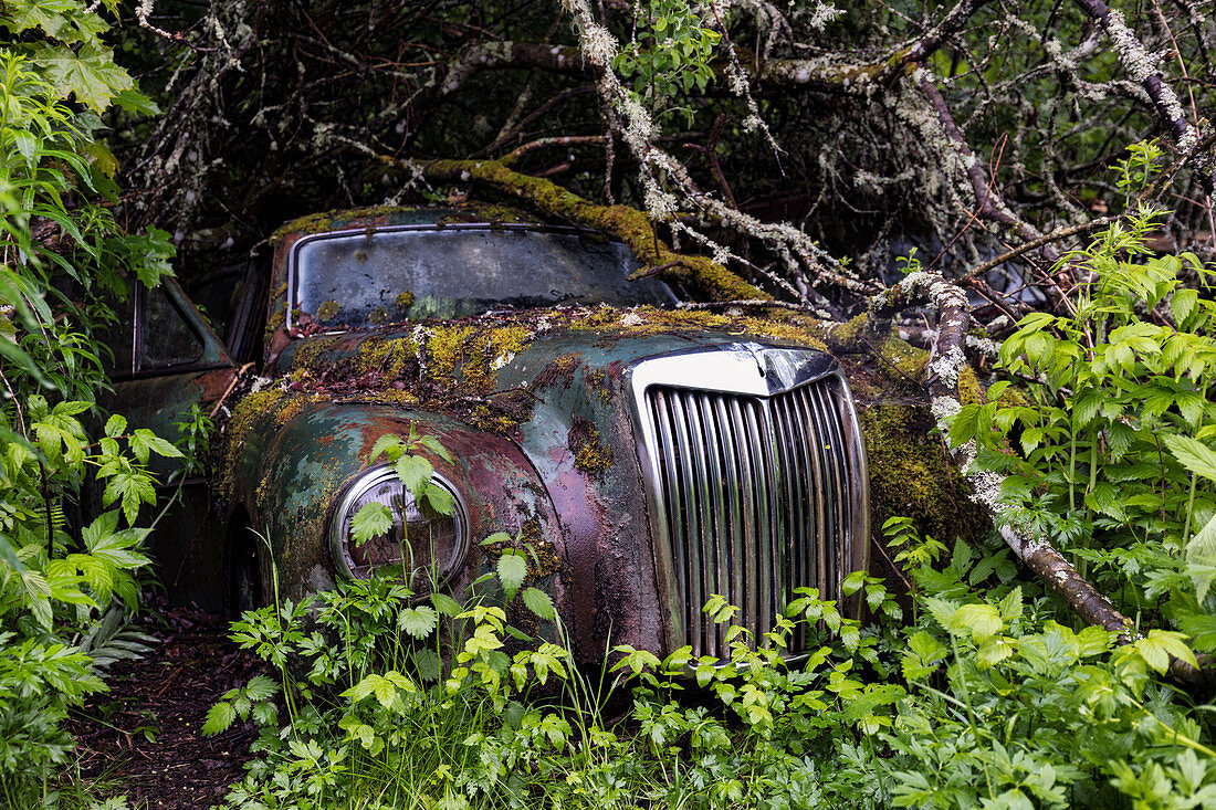 Bastnas Car Cemetery deep in the forests of the region of Varmland in Sweden, Scandinavia, Europe