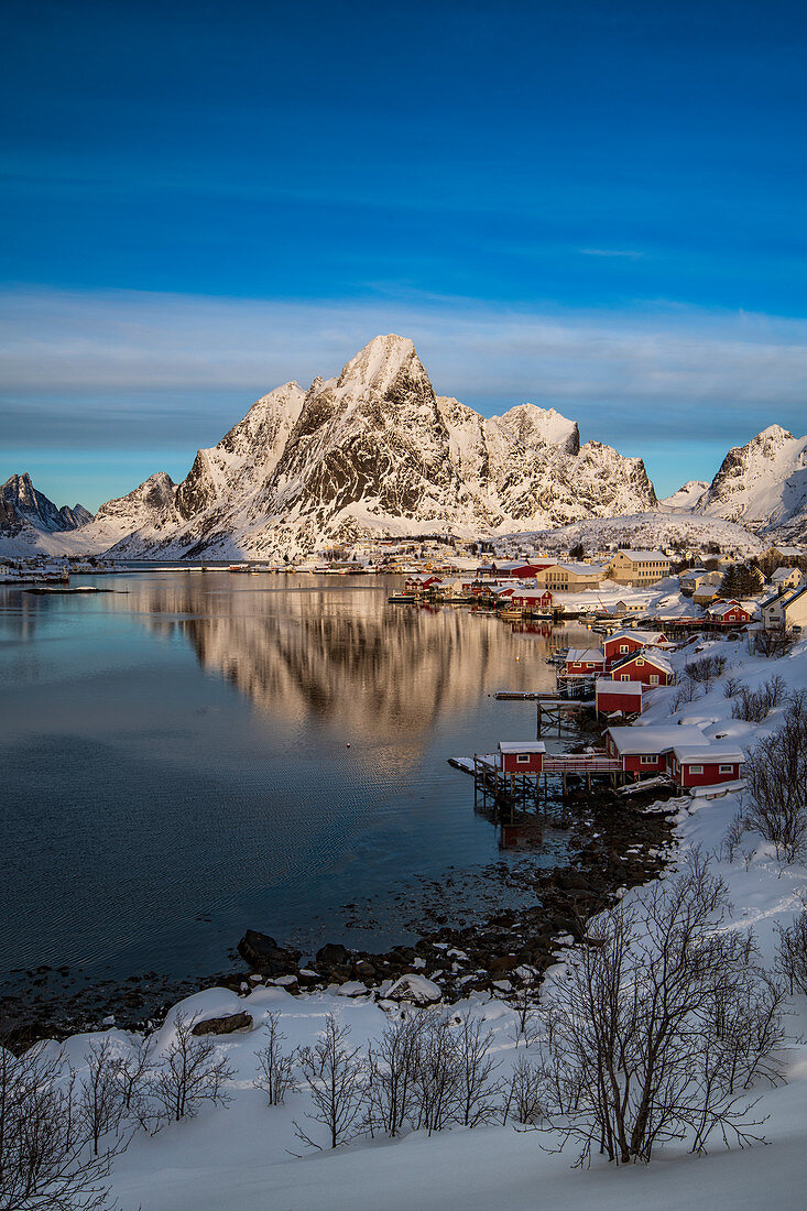 The fishing village of Reine in winter, Reinefjord, Moskenesoya, Lofoten, Arctic, Norway, Europe