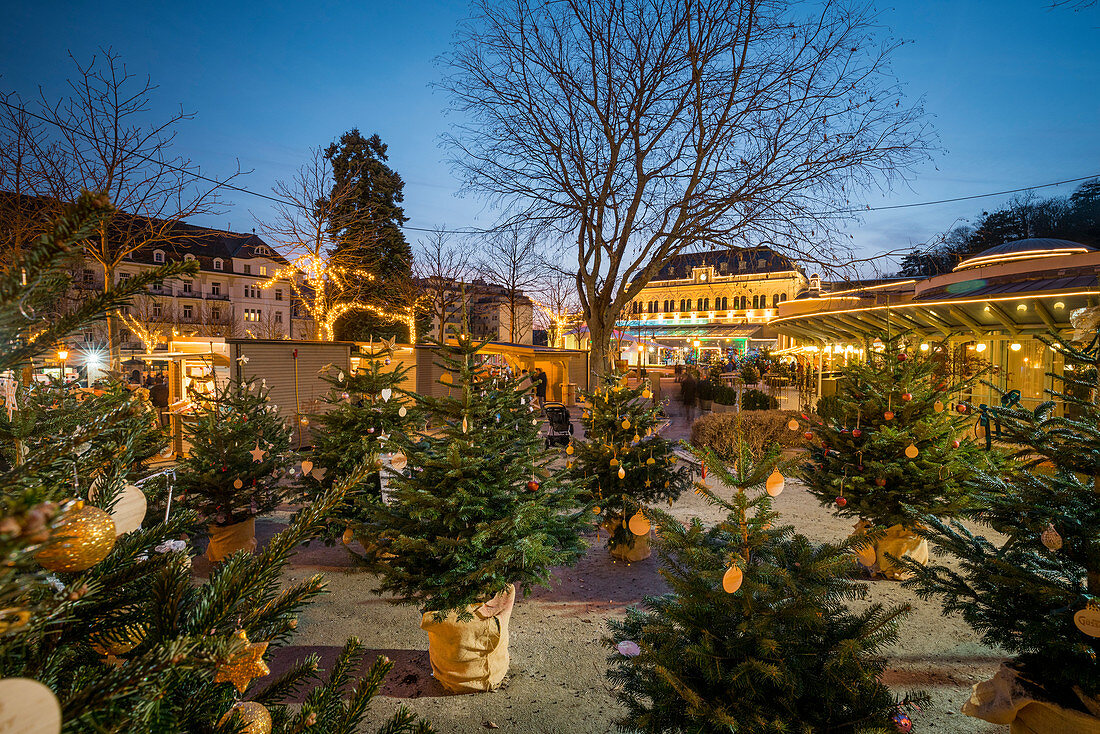 Advent in the park, Baden near Vienna, Lower Austria, Austria