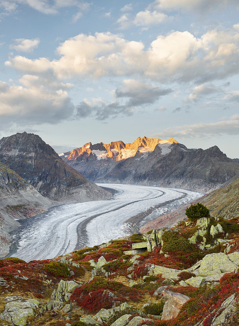 Aletschgletscher nahe Bettmeralp, Wannenhorn, Wallis, Schweiz