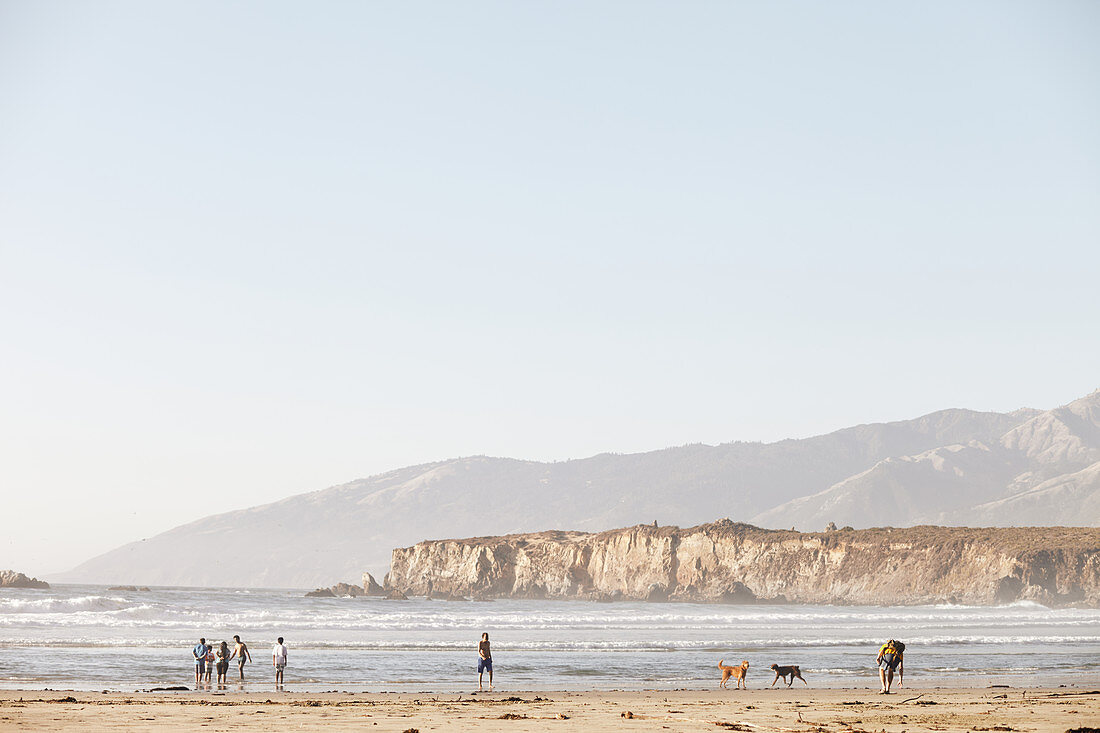 Strandspaziergänger, Badende und Hunde am Strand in Big Sur, Kalifornien, USA