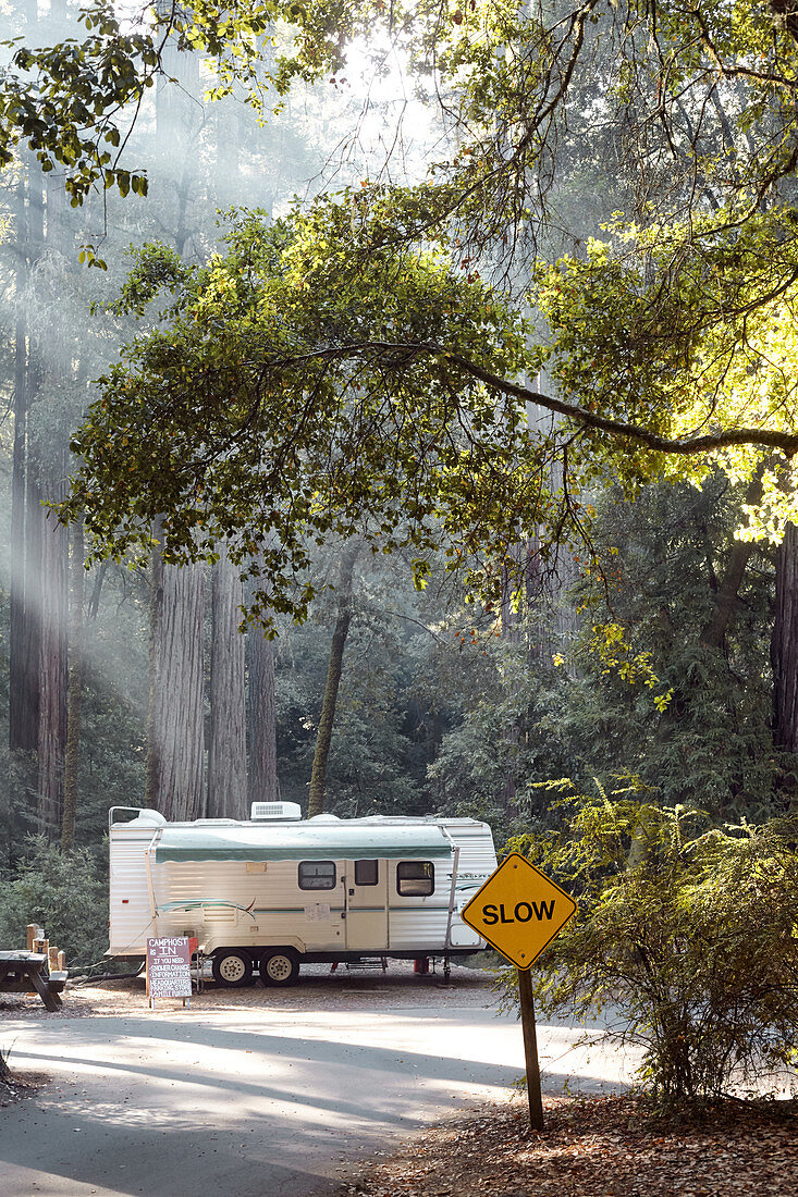 Camping carts on the Big Basin Redwoods Campground. California, United States.