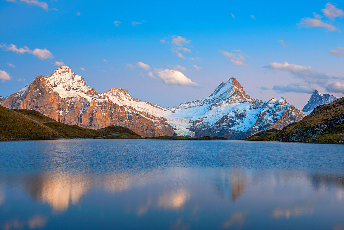 Abend am Bachalpsee mit Wetterhorn, Schreckhorn und Finsteraarhorn, Grindelwald, Berner Oberland, Schweiz