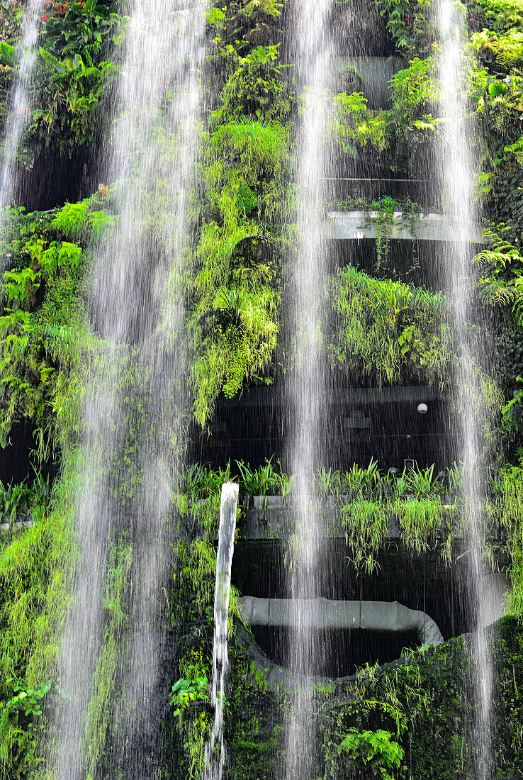 Wasserfälle und tropische Vegetation in den Hallen der Gardens by the Bay, Singapore