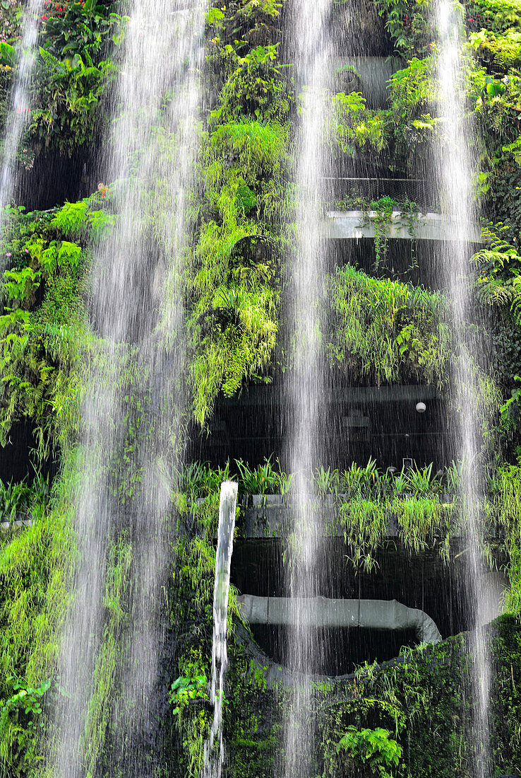 Waterfalls and tropical vegetation in the halls of Gardens by the Bay, Singapore