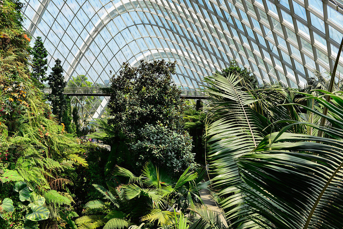 Lush, tropical vegetation in the hall of Gardens by the Bay, Singapore