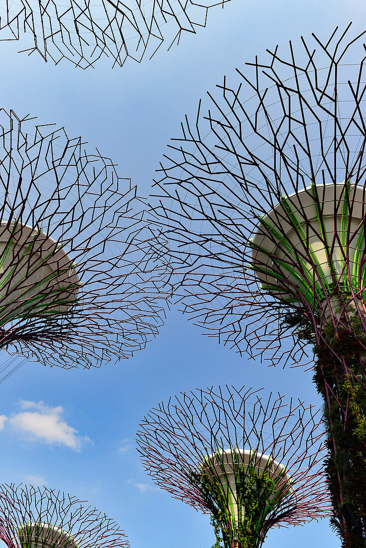 View of walkable tree towers at Gardens by Hte Bay, Singapore