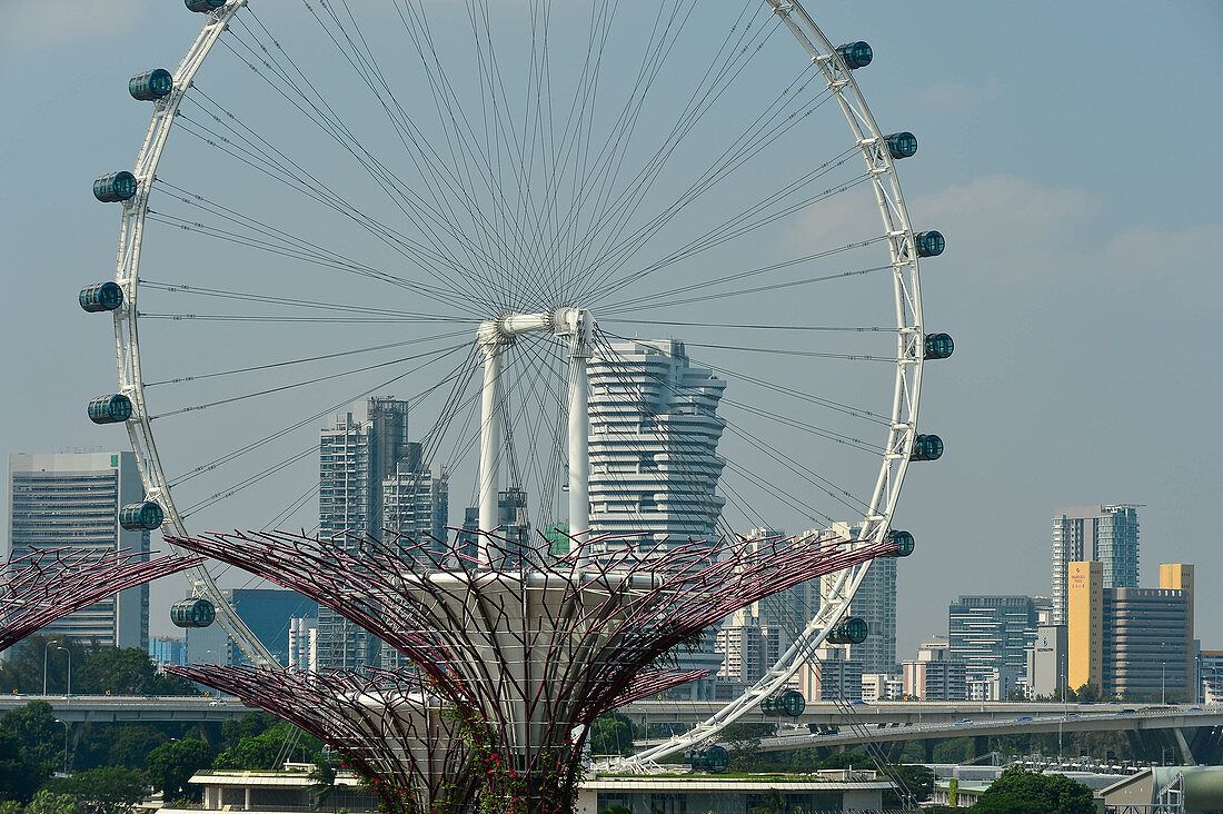 Towers of the Gardens by the Bay in front of the Singapore Flyer ferris wheel, Singapore