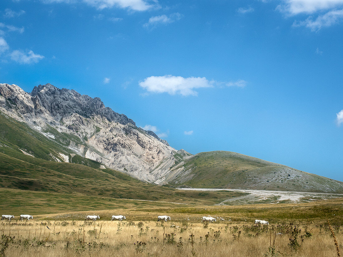 Campo Imperatore, Gran Sasso e Monti della Laga National Park, Abruzzo, Italy