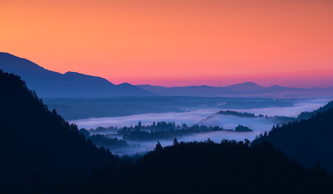 Nebel über Wald bei Sonnenaufgang bei Bled, Slowenien\n