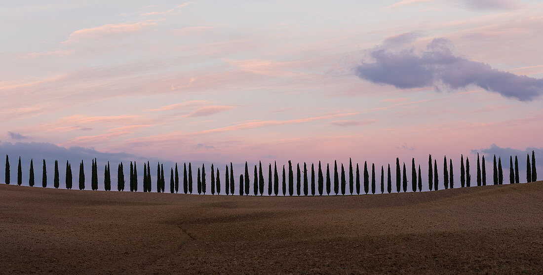 Allee aus Zypressen in der Toskana im Sonnenuntergang, Italien \n