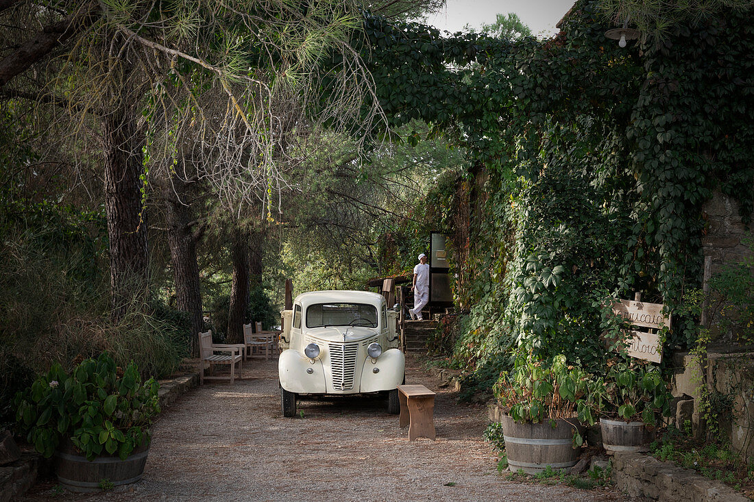 Baker with vintage car on the estate of the Fattoria La Vialla in Tuscany, Italy