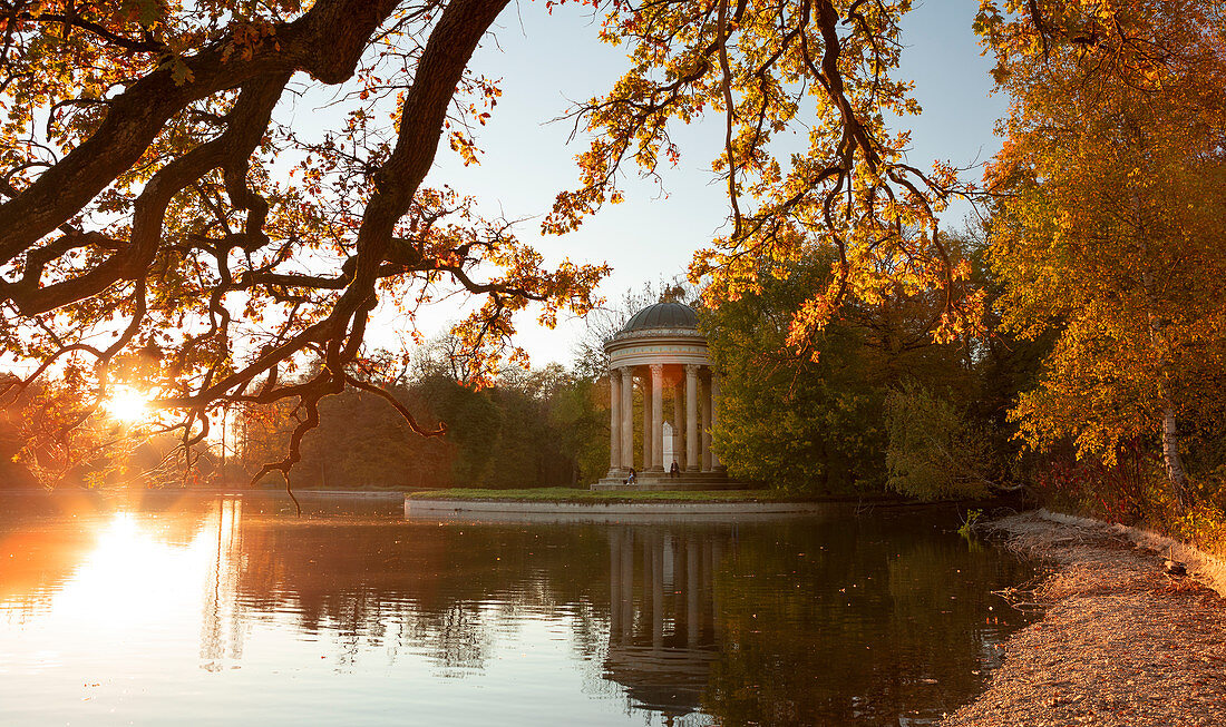 Apollo Tempel mit Baum im Schlosspark Nymphenburg im Herbst bei Sonnenuntergang, am Wasser, München\n
