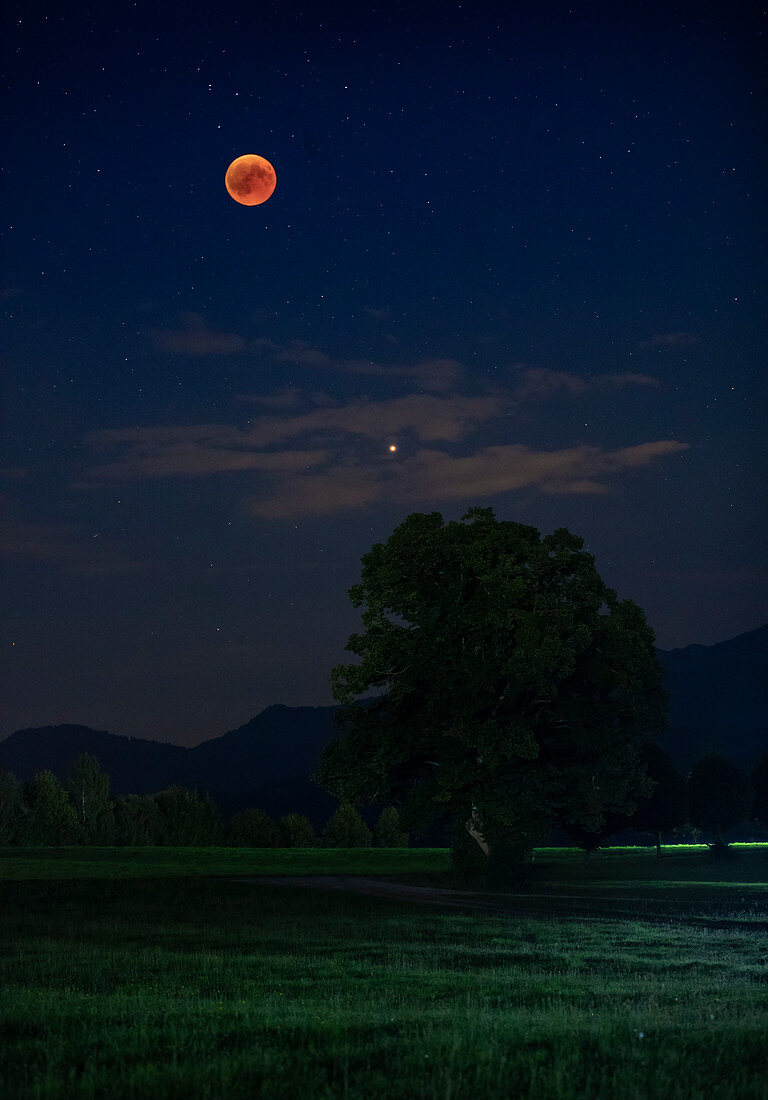 Blood moon during lunar eclipse in summer 2018 with planet Mars over field in the night sky, Bavaria