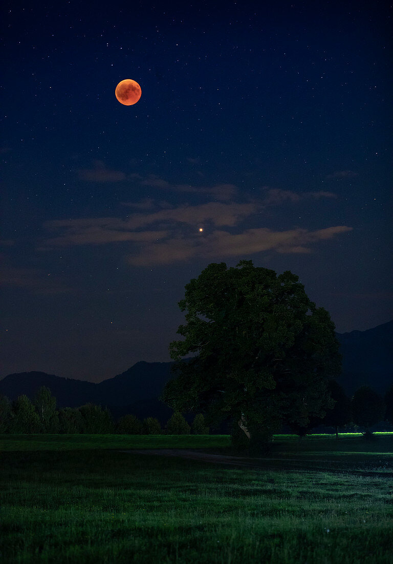 Blutmond bei Mondfinsternis im Sommer mit Planet Mars über Feld am Nachthimmel, Bayern