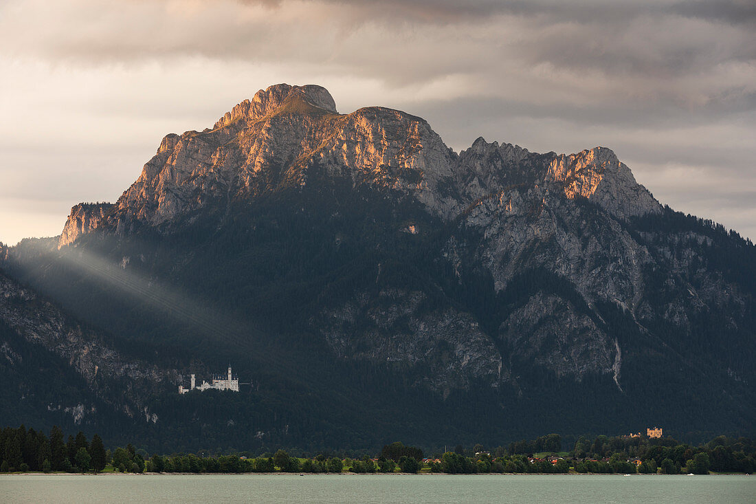 Forggensee with Neuschwanstein Castle and Hohenschwangau in the Ammer Mountains at sunrise, Bavaria