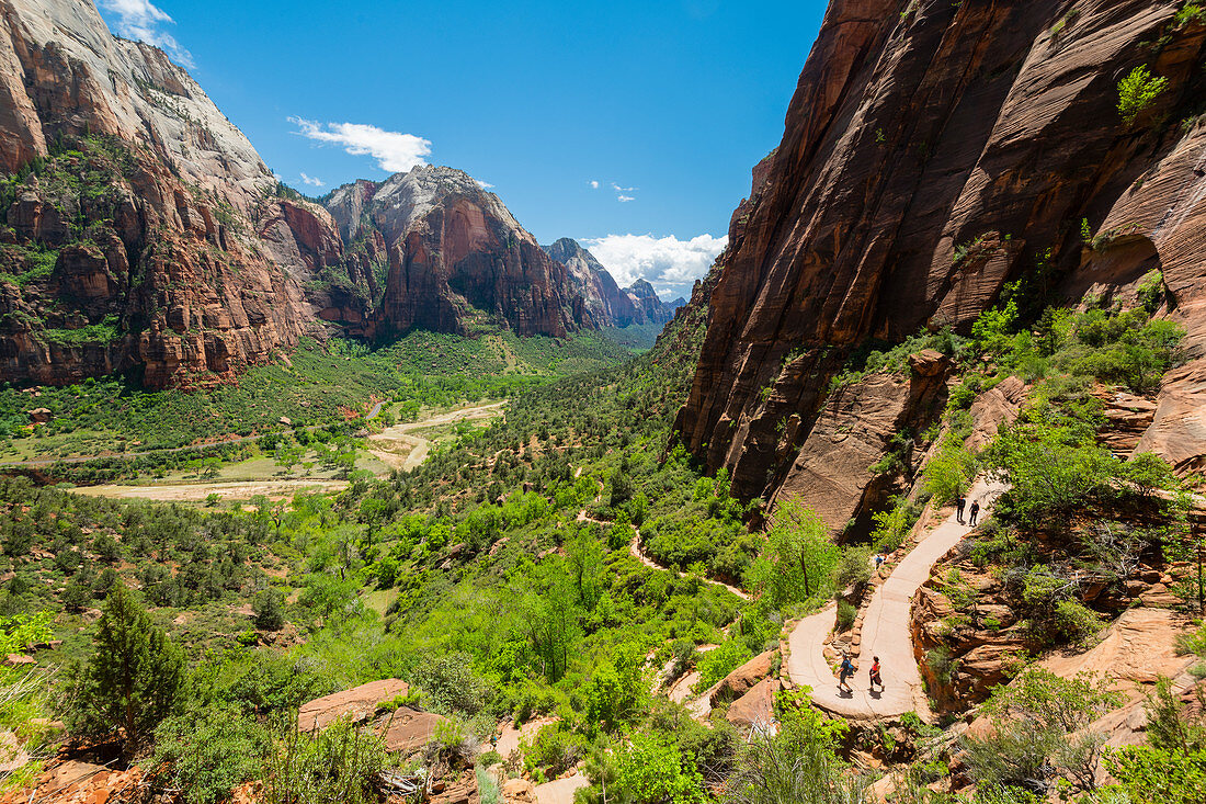 Hikers on the trail to Angels Landing, Zion National Park, Utah, United States of America, North America