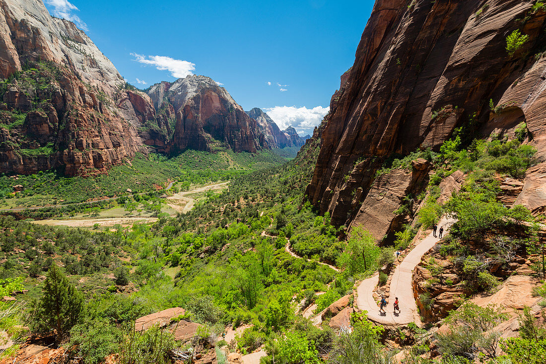 Wanderer auf dem Weg nach Angels Landing, Zion-Nationalpark, Utah, Vereinigte Staaten von Amerika, Nordamerika