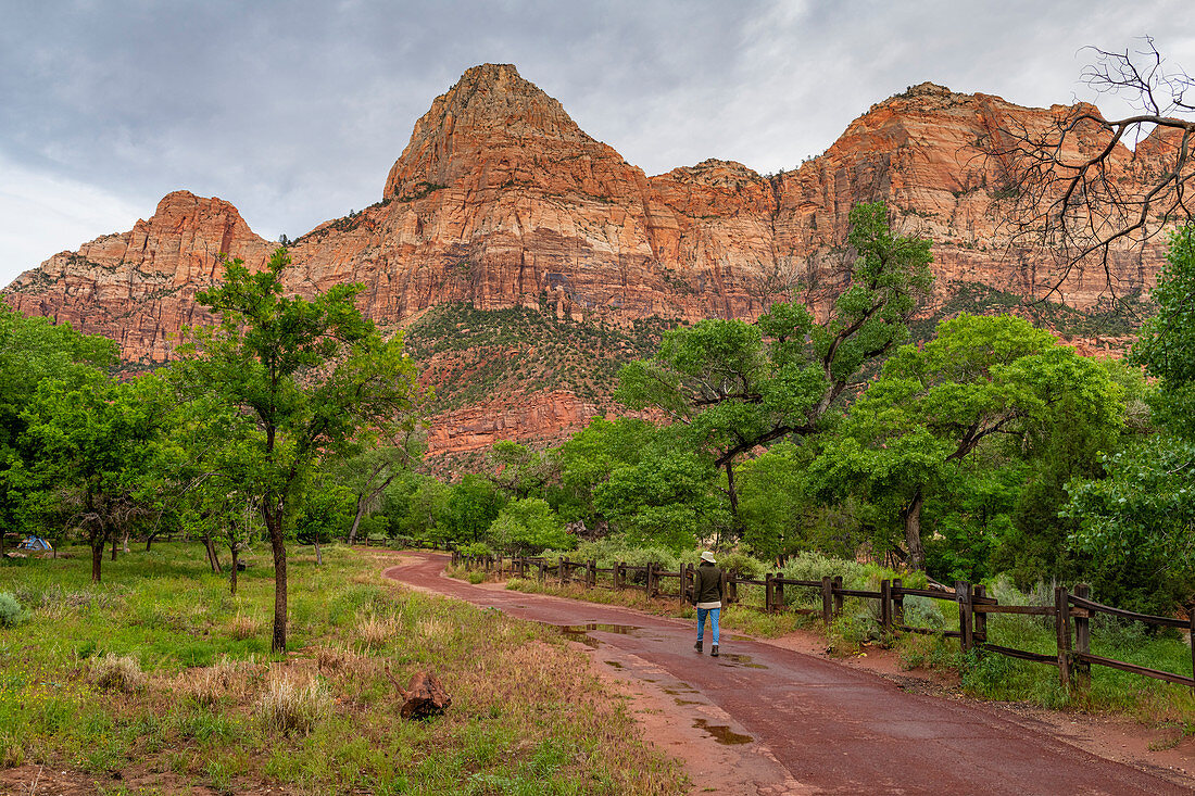 Die Aussicht genießen im Zion-Nationalpark, Utah, Vereinigte Staaten von Amerika, Nordamerika