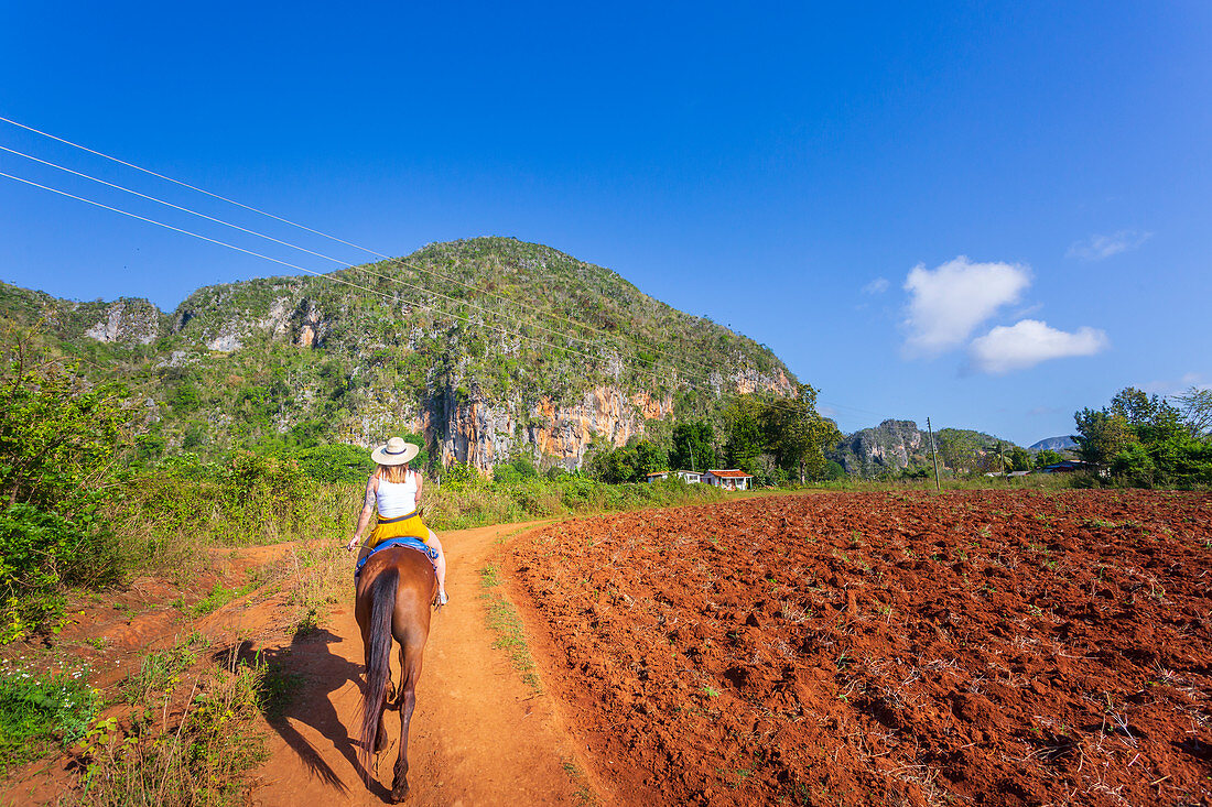 Tourists on a horse tour in Vinales National Park, UNESCO World Heritage Site, Pinar del Rio Province, Cuba, West Indies, Caribbean, Central America