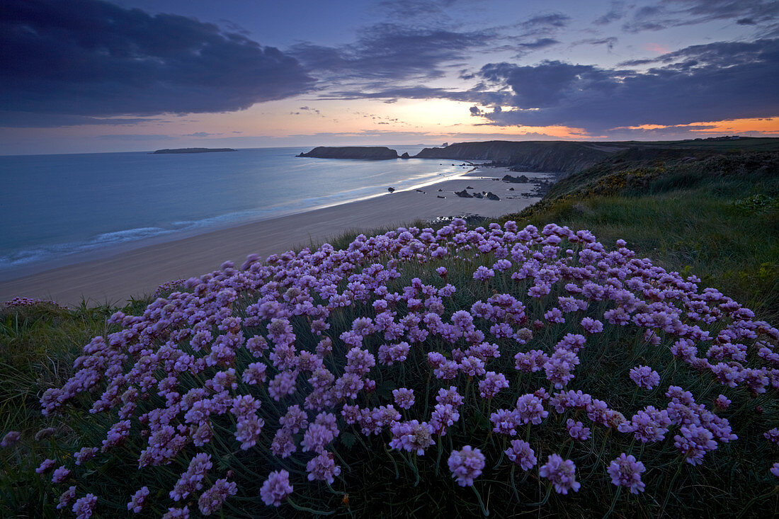 Sonnenuntergang auf dem Wales Coast Path über Marloes, Pembrokeshire, Wales, Vereinigtes Königreich, Europa