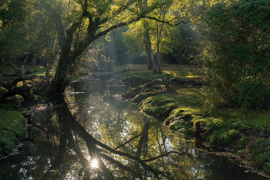 Reflexion vom frühmorgendlichen Sonnenschein im Beaulieu River, im New Forest National Park, in Hampshire, England, im Vereinigten Königreich, in Europa