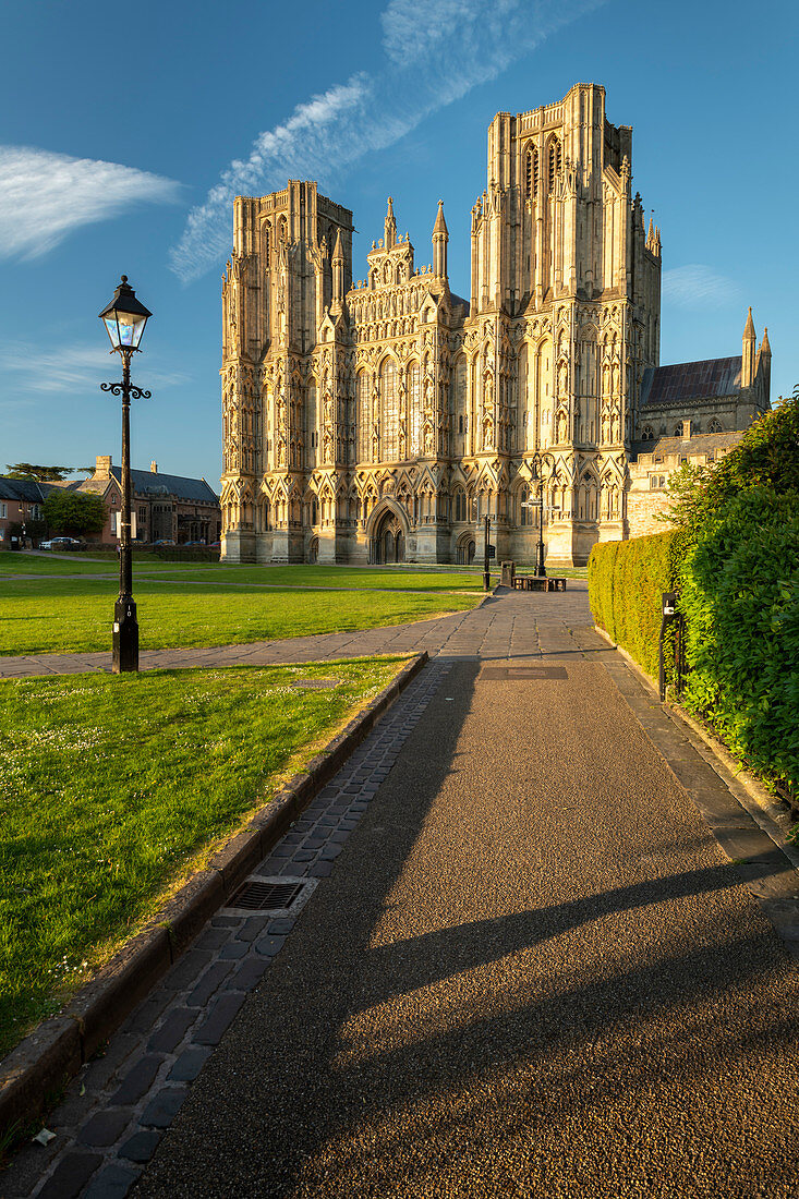 Wells Cathedral in evening sunlight, Wells, Somerset, England, United Kingdom, Europe