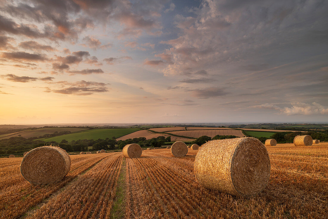 Straw bales at sunset in rural Devon, Livaton, Devon, England, United Kingdom, Europe