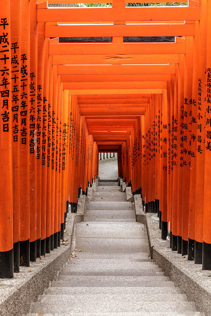 Torii Tore am Hie-Schrein in Chiyoda, Tokio, Japan, Asien