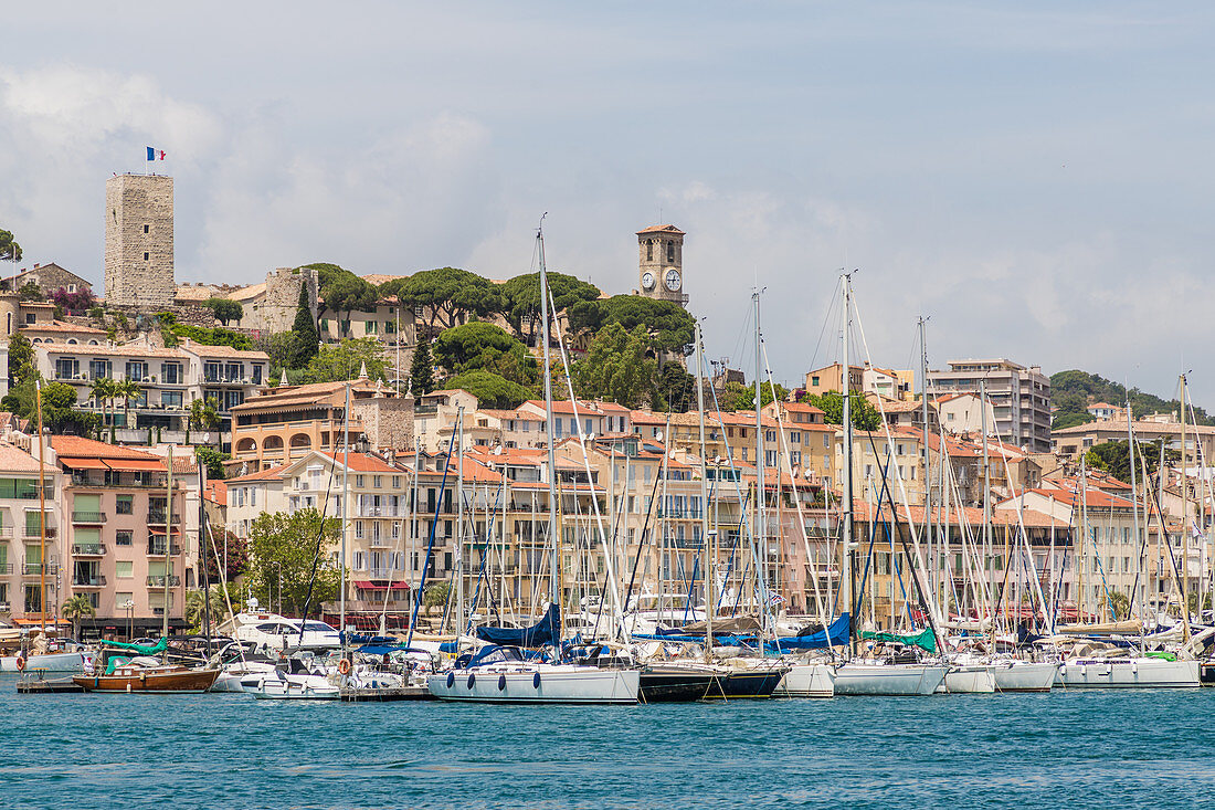 Hafen von Le Vieux in Cannes, Alpes-Maritimes, Côte d'Azur, Provence, französische Riviera, Frankreich, Mittelmeer, Europa