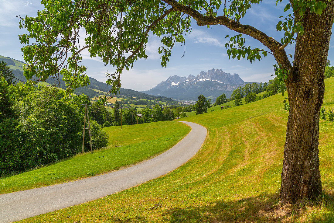 View of country lane and Ellmauer Halt Mountain peak near St. Johann, Austrian Alps, Tyrol, Austria, Europe