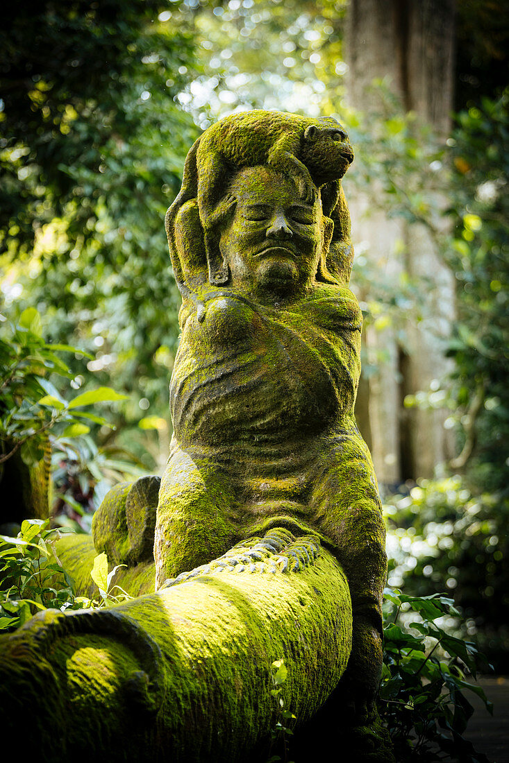 Sacred Monkey Forest Sanctuary (Affenwald Schutzgebiet von Ubud), Ubud, Bali, Indonesien, Südostasien, Asien