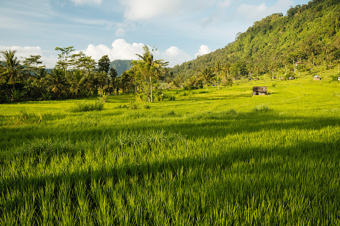 Landschaft nahe Sidemen, Bali, Indonesien, Südostasien, Asien