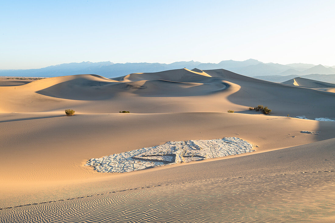 Mesquite flat sand dunes in Death Valley National Park, California, United States of America, North America