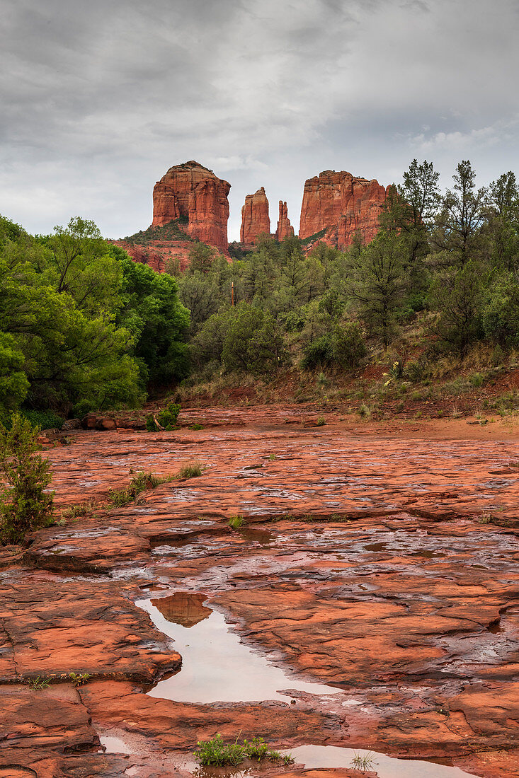 Cathedral Rock seen from Red Rock State Park, Sedona, Arizona, United States of America, North America