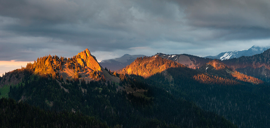 Abendlicht auf Berggipfeln, Blick vom Hurricane Ridge, Olympic National Park, UNESCO-Weltkulturerbe, Bundesstaat Washington, Vereinigte Staaten von Amerika, Nordamerika