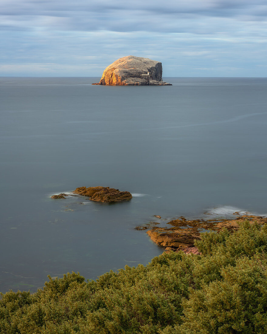 Bass Rock in early evening light, Firth of Forth, East Lothian, Scotland, United Kingdom, Europe