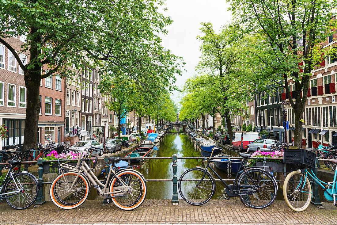 Fahrräder auf einer Brücke, Bloemgracht, Amsterdam, Nordholland, Niederlande, Europa