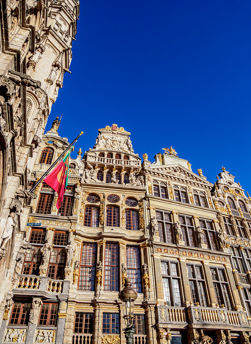 Häuser am Grand Place, UNESCO-Weltkulturerbe, Brüssel, Belgien, Europa