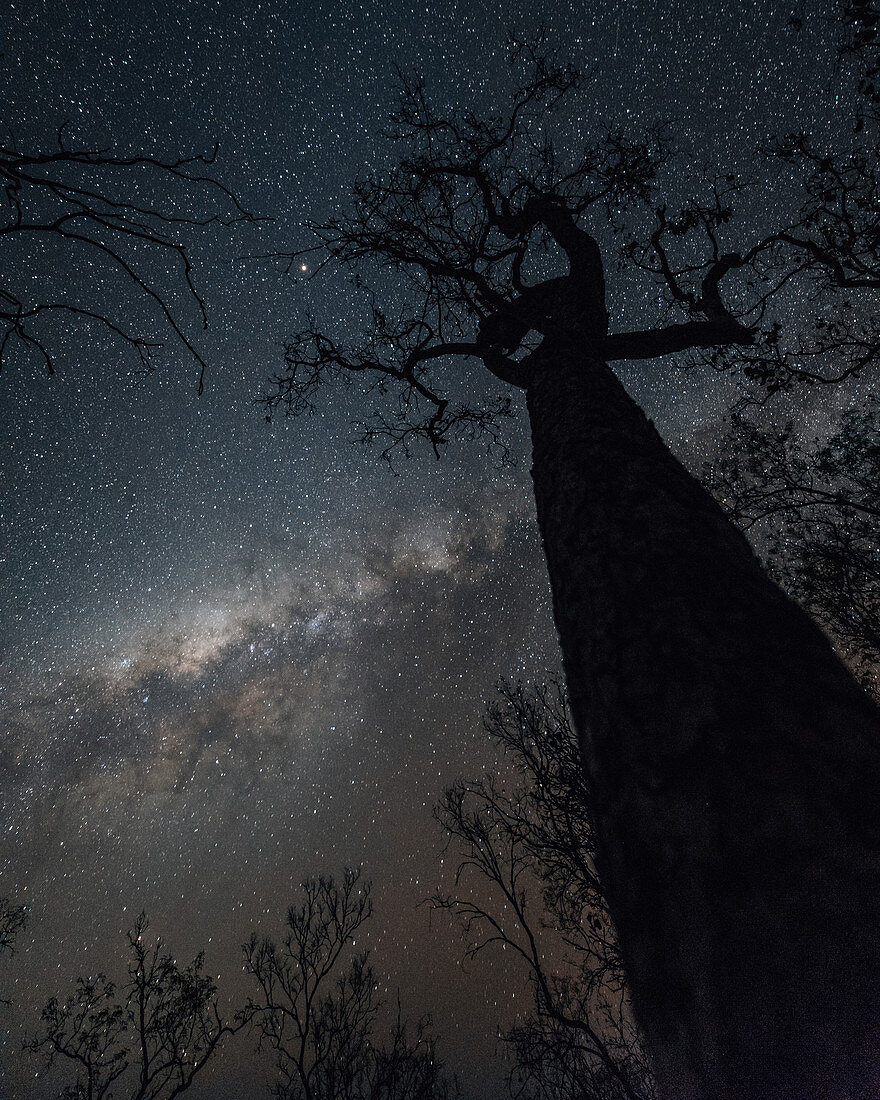 Night sky at Edith Falls in Northeastern Australia, Kathrine, Northern Territory, Outback, Australia, Oceania