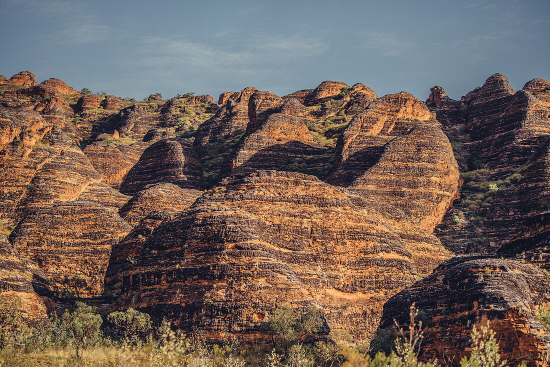 Im Purnululu Nationalpark, Bungle Bungle, Kimberley Region, Westaustralien, Ozeanien,