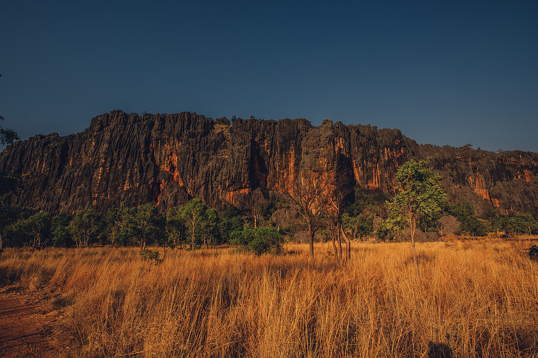 Windjana Gorge National Park in the Kimberley region in Western Australia, Australia, Oceania