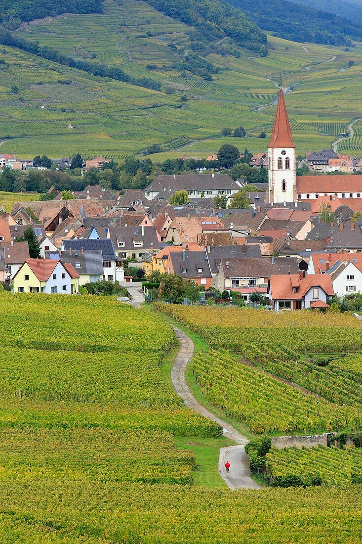 Frankreich, Haut-Rhin, Route des Vins d'Alsace (Elsässer Weinstraße), Ammerschwihr, Gesamtansicht des Dorfes und der Weinberge