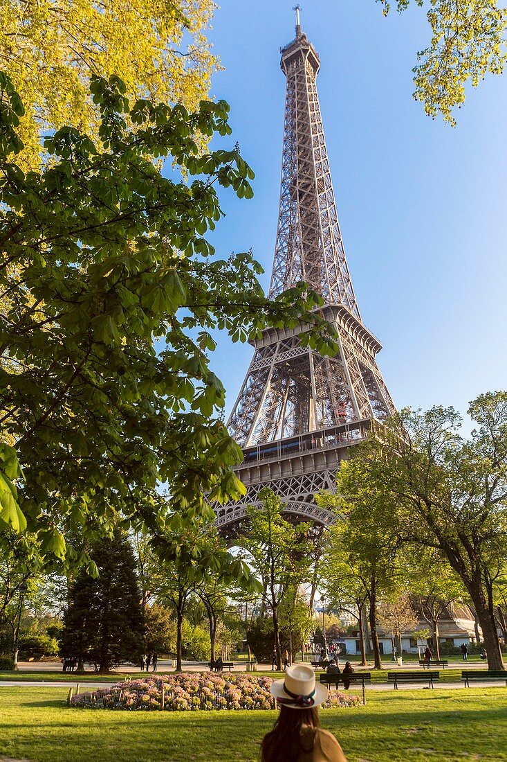 France, Paris, the Champs de Mars gardens and Eiffel Tower
