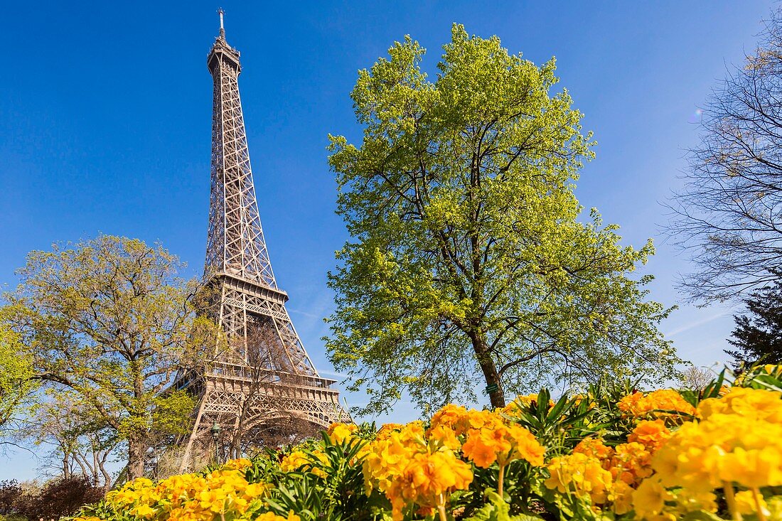 France, Paris, area listed as World Heritage by UNESCO, the Champ de Mars and the Eiffel Tower