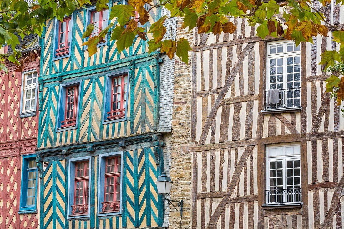 France, Ille et Vilaine, Rennes, historic district, place Saint Anne, timber framed houses