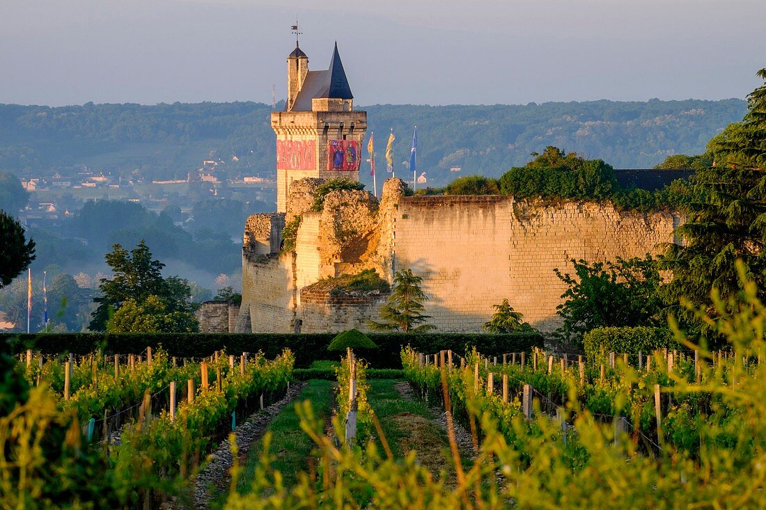 Frankreich, Indre et Loire, Chinon, UNESCO Weltkulturerbe, Schloss Chinon, der Glockenturm