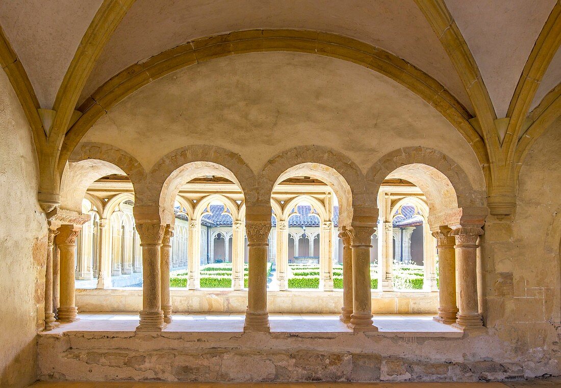 France, Loire, Charlieu, Saint Fortunatus' Abbey, chapter house, Brionnais