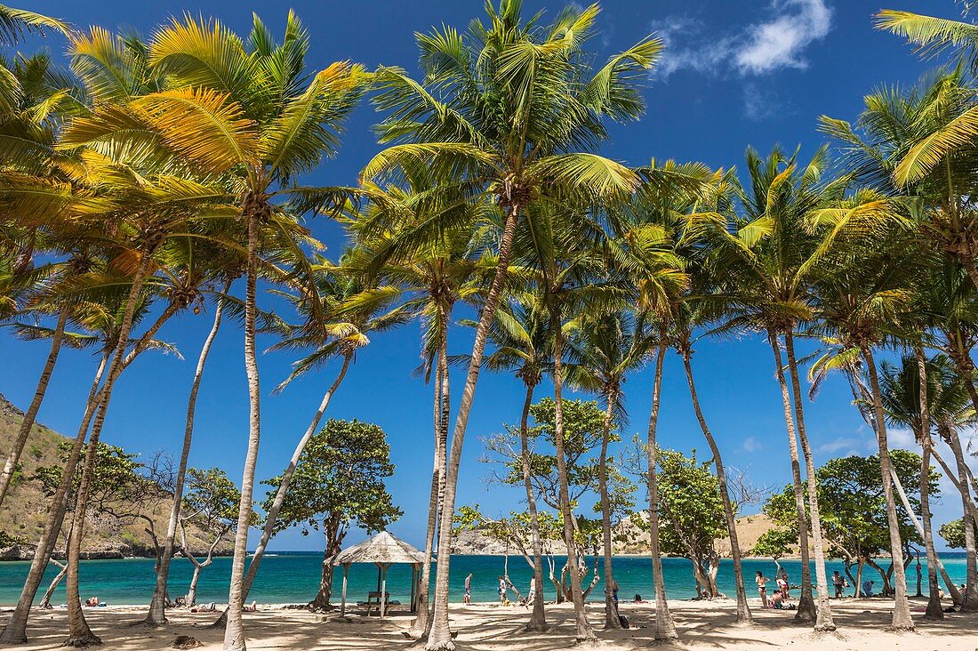 France, Guadeloupe (French West Indies), Les Saintes archipelago, Terre de Haut, Pompierre beach